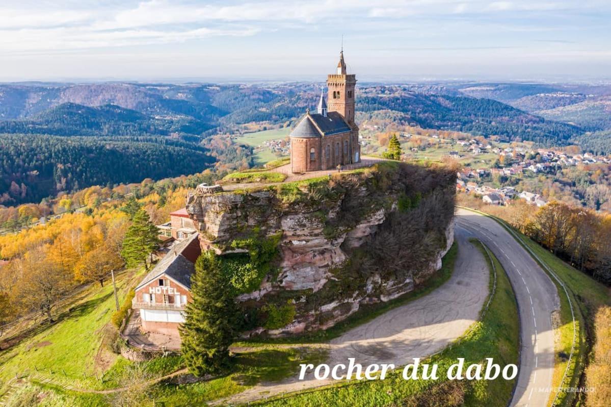Вілла Le Nid Du Calice Abreschviller Екстер'єр фото